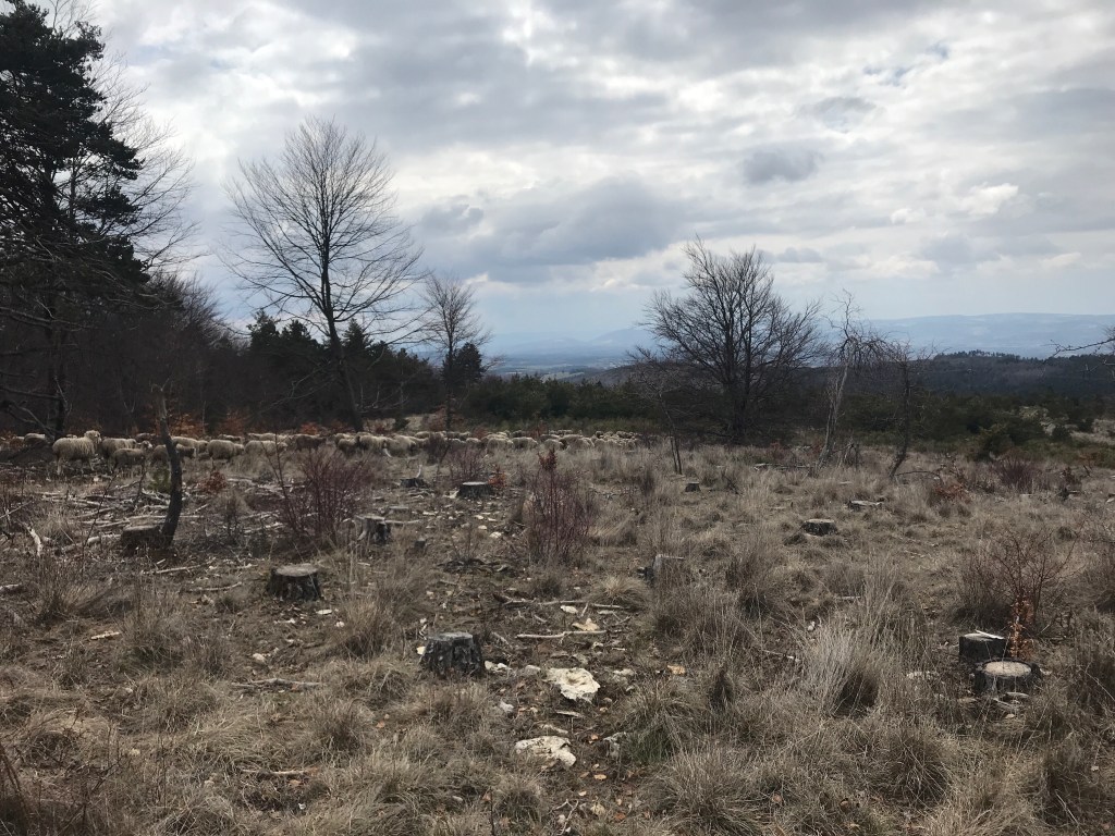 Keeping them together.