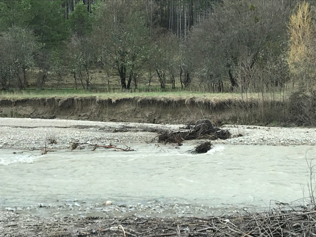 The shepherds Journal: the water&nbsp;cycle