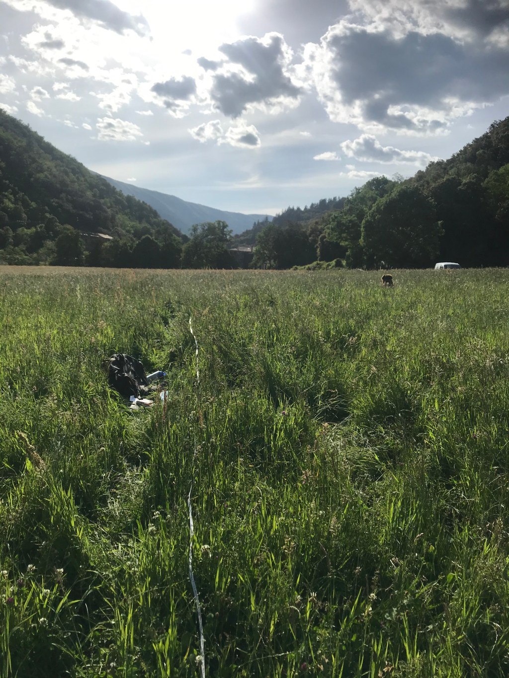 Ecological Monitoring // Monitoring&nbsp;écologique