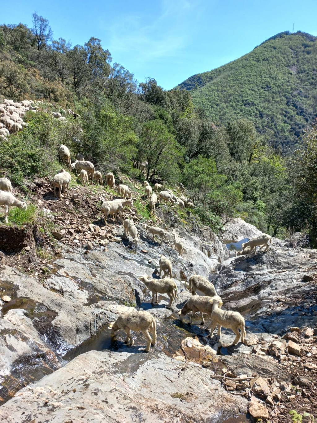 EARL Friendly Flock is&nbsp;born!