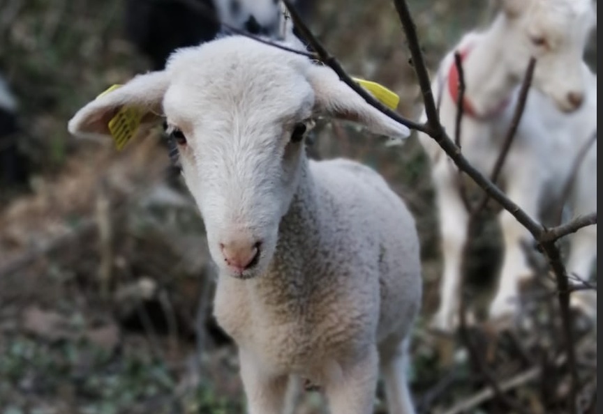 Hommage à  Paulette / Homage to&nbsp;Paulette