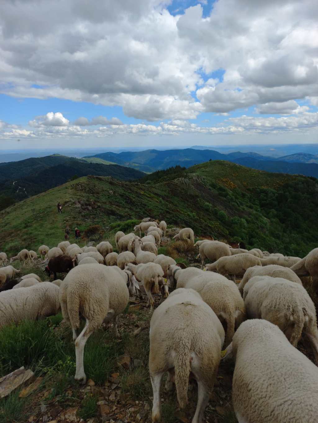 Business IQ from Ranching for&nbsp;Profit