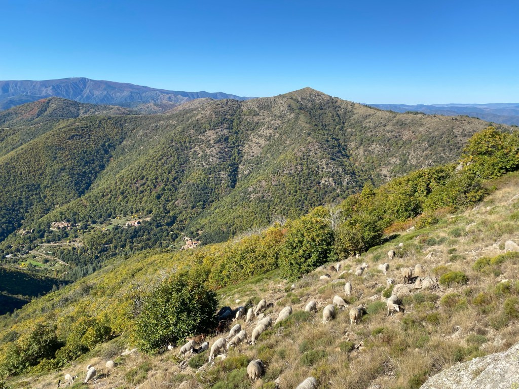 The 7 habits of highly effective people: The balance of P and&nbsp;PC