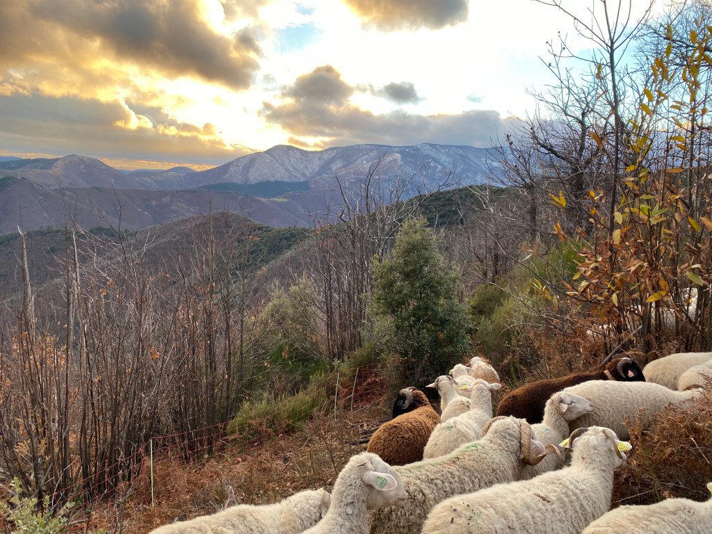 Fundraiser / Financement&nbsp;Participatif