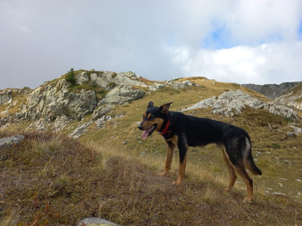 The end of a beautiful&nbsp;song.